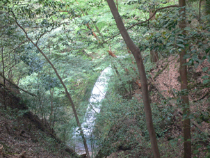 滝