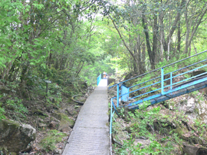 登山道