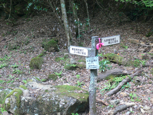 登山道