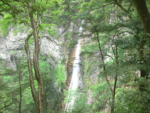 滝