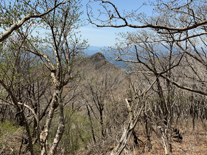 黒岳