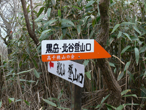 分岐点