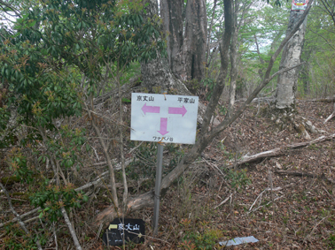 分岐点