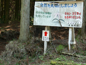 登山口