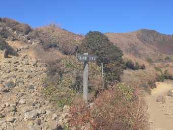 登山道