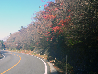 県道