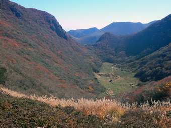 登山道
