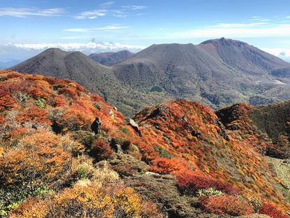 紅葉