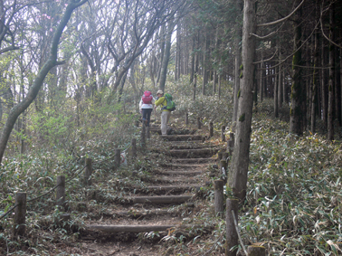 登山道