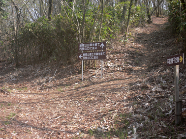 登山道