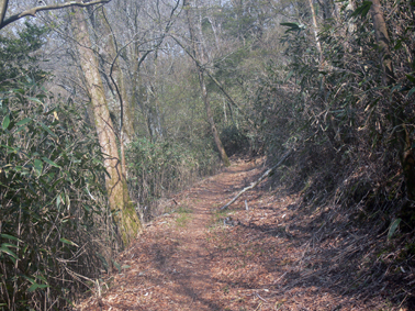 登山道