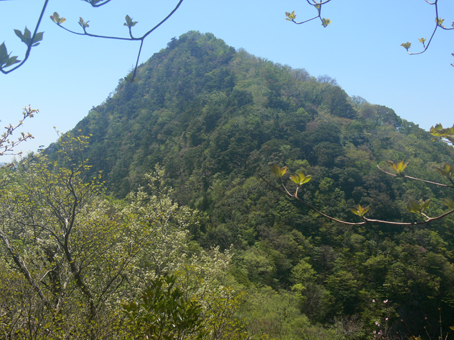 男岳