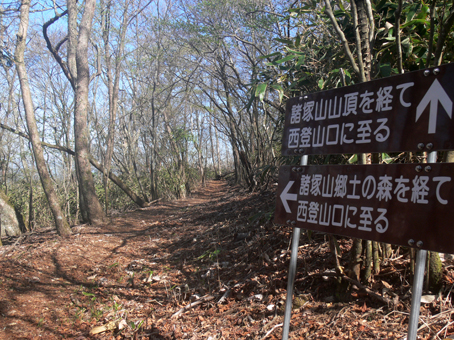分岐点