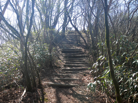 登山道