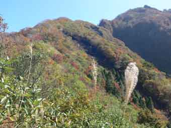 峰