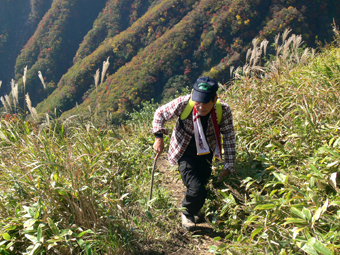 登山道
