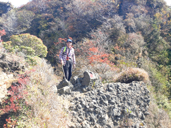 登山道