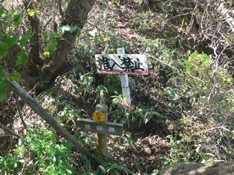 登山道