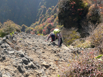 登山道