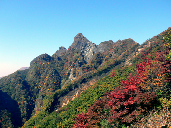 kouyou 