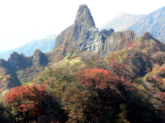 紅葉