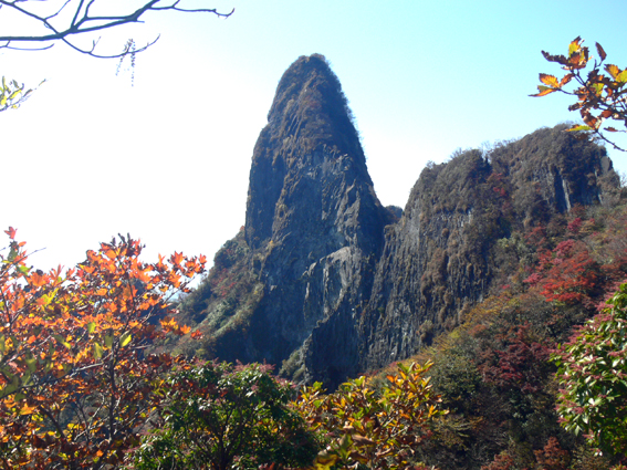紅葉
