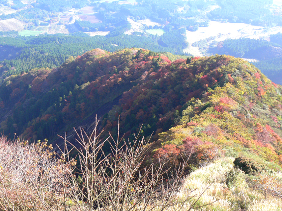 紅葉