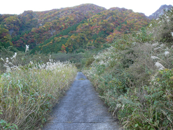 登山道