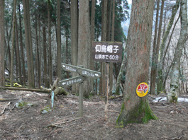 分岐点