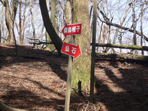 分岐点