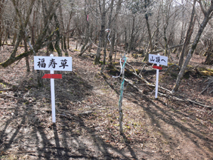 標識