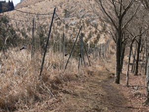 登山道