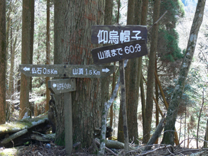 分岐点