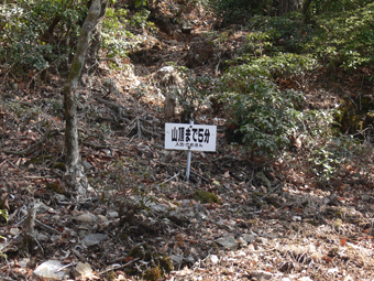 登山道