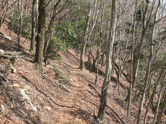 登山口