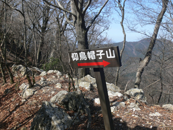 登山道
