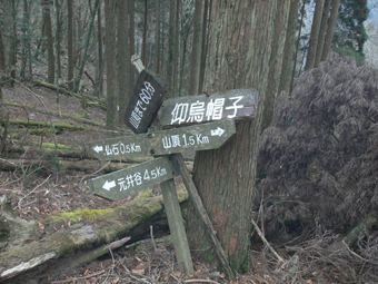 分岐点