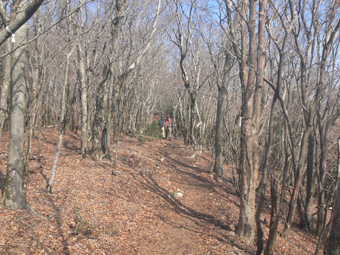 登山道