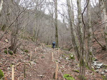 登山道