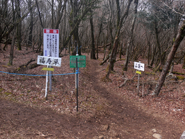 分岐点