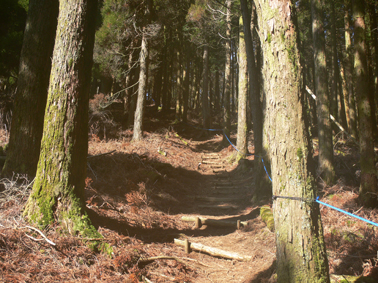 登山道