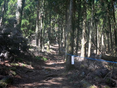 登山道
