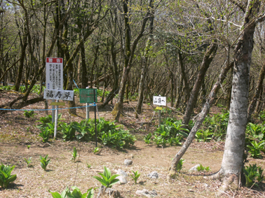 分岐点