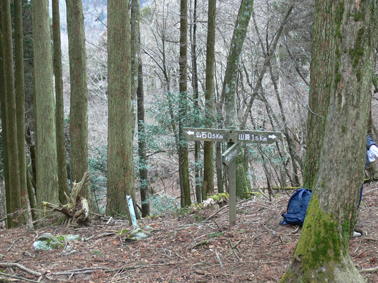 登山道
