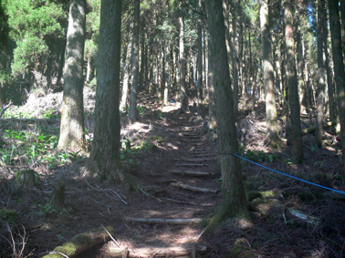 登山道