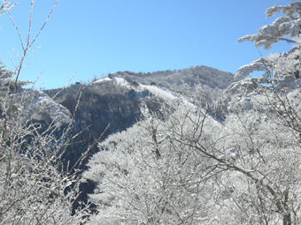 霧氷