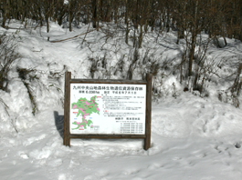 登山口