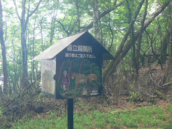 登山箱