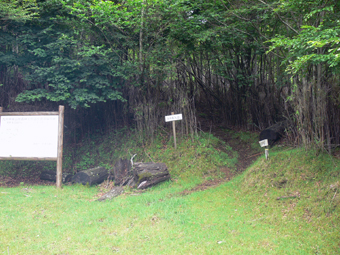登山口