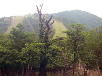 登山口